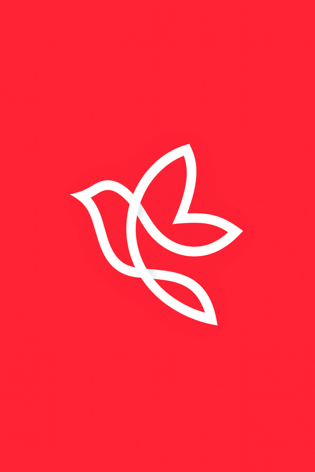 Curva Collection logo